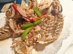 -侬佳蒸菜馆(听潮店)