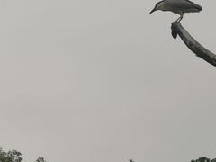 -汇龙潭