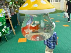 -爱彼格林珑悦幼儿园