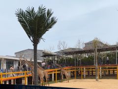 -西霞口神雕山野生动物世界