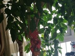 -原野花艺鲜花店(车站大道店)