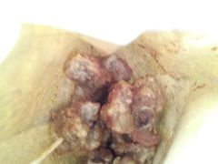 麻辣排骨-傅强排骨(成都总店)