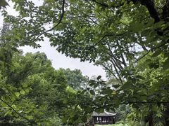 -成都杜甫草堂博物馆