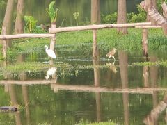 -香山湖公园