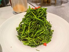 红果枸杞苗-清真·宁夏印象·盐池滩羊肉体验店(江宁路店)