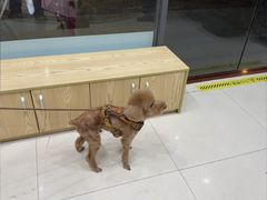 -芭比堂动物医院(广州爱宠下渡路分院)