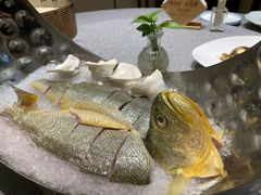 靓汤边炉东海大黄鱼-俏陵轩·南京本土菜(奥体博览中心店)
