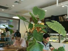 -织荆鸟咖啡(首开福茂店)