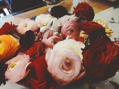 -Jo's Garden