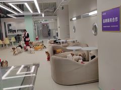 -怪兽屋·羊驼·猫咖·狗咖(俊华广场店)