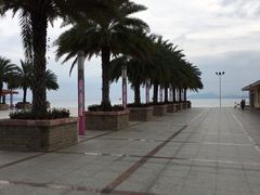 -玫瑰海岸文化旅游度假区