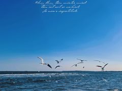 -金梦海湾浴场