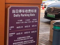 -迪士尼乐园停车场