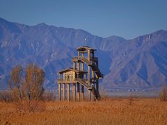 -野鸭湖国家湿地公园