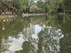 -柳侯公园