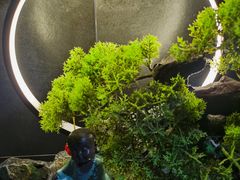 -天禧影院式足道·SPA(梅林店)