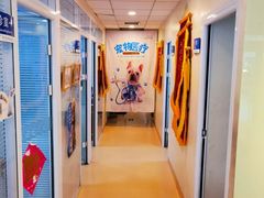 -瑞派·关忠动物医院(国瑞店)