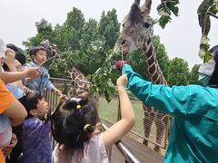 -合肥野生动物园