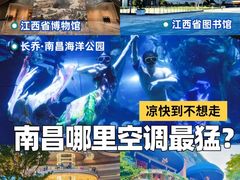 -南昌海洋公园