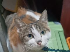 -老丘丘(较场口店)