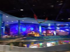 -青岛嘉年华主题乐园