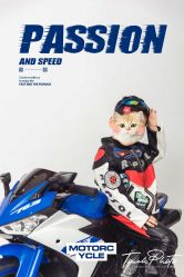 -韩国童感TOUCH PHOTO儿童摄影(朝阳分店)