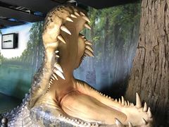 -悉尼海洋生物水族馆