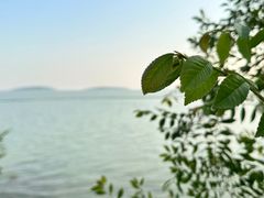-麓舍全景太湖温泉别墅团建拓展会议亲子