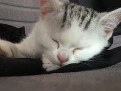 -麦当劳(中山路店)