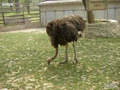 -西安秦岭野生动物园