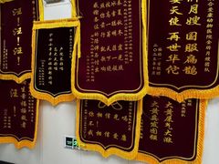-美联众合爱康动物医院•复杂内科•肿瘤科•牙科•腔镜诊疗中心