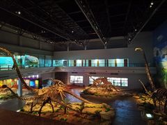 -自贡恐龙博物馆