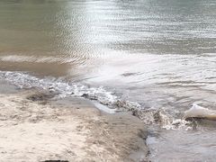 -重庆市江北嘴中央商务区中央公园