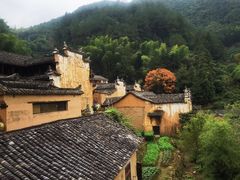-杨家堂村