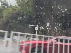 -东莞植物园