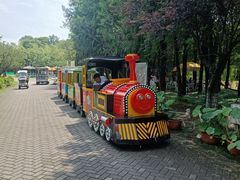 -上海海湾国家森林公园