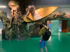 -杭州开元森泊度假乐园