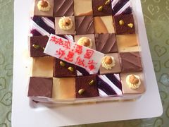 -维尔纳斯·生日蛋糕动物奶油冰淇淋蛋糕(人大店)
