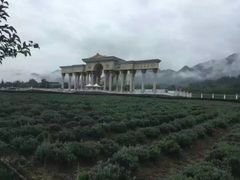 -曲江薰衣草庄园