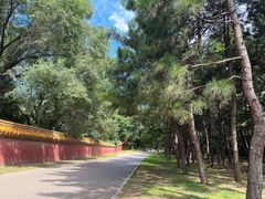 -沈阳市东陵公园