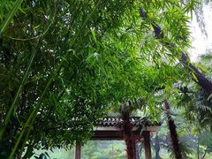 -西苑公园