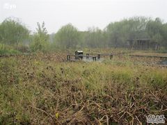 -溱湖国家湿地公园