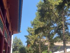 -西宁市东关清真大寺
