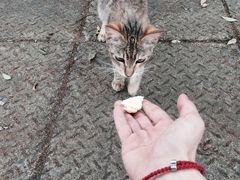 -高铁便当(长白街店)