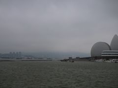 -野狸岛