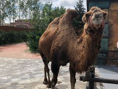 -波塞冬旅游度假区