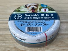 -佳雯宠物医院(金华南路分院)