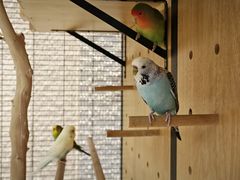 -太湖饭店玉兰厅(自助餐厅)