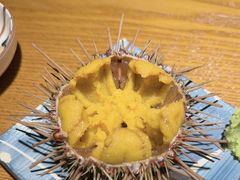 -桂马·日本料理·海胆·海鲜饭·酒场(民主广场店)