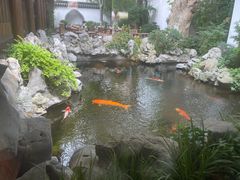-鲤院·新中式美学·庭院餐厅(夫子庙店)